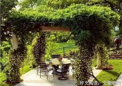 几年后，中囯的房子将变成这样？难以置信！