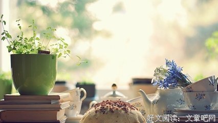 墨泠句子大全