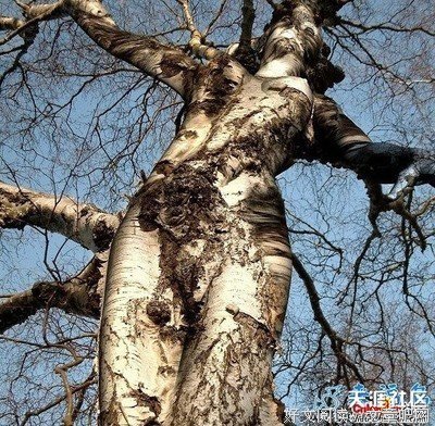爱的卑微与伟大优美的句子