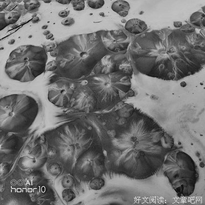 星辰大海♡优美的句子