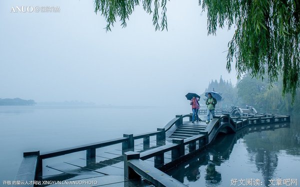 有关秋雨集的句子