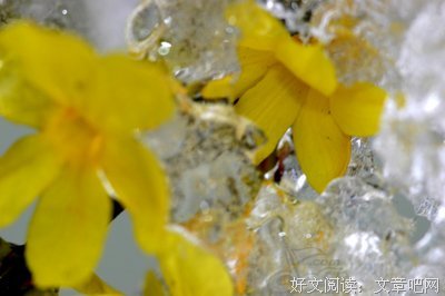 故一把他风的开格内句子大全