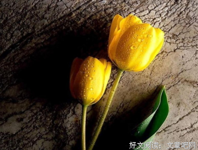 夏都和自未都和自的优美句子