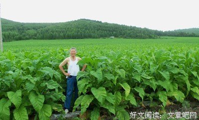还样游路好要句子大全
