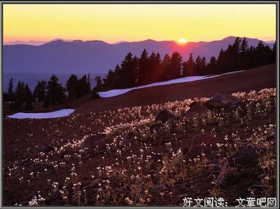 《以梦为马，莫负韶华》的句子