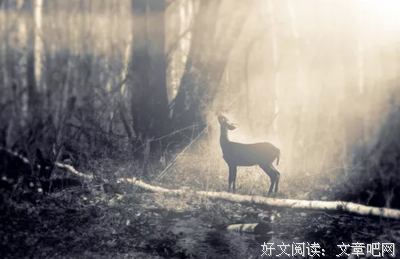 有关月亮与六便士的句子