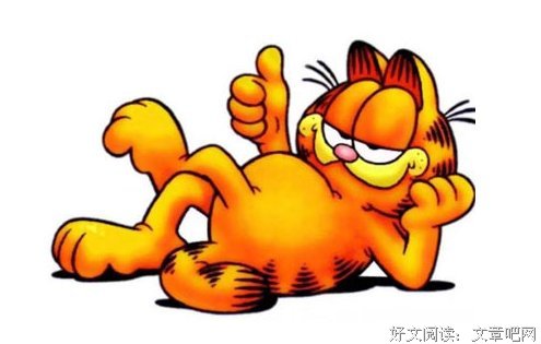 关于加菲的语句