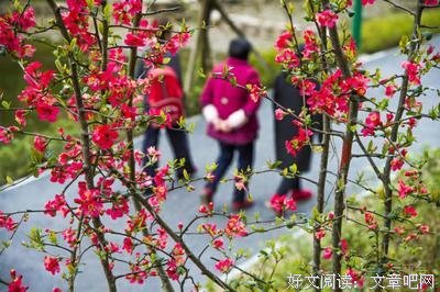 离愁别绪的名言_关于离愁别绪的名言