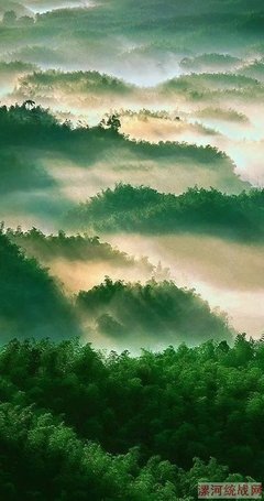 一曲《半山听雨》, 太好听了