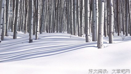 别具一格的句子