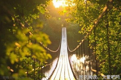 有关高尔泰的美文美句摘抄