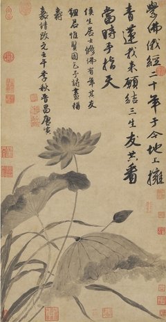 关于徐过的语句
