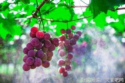 艾青名言