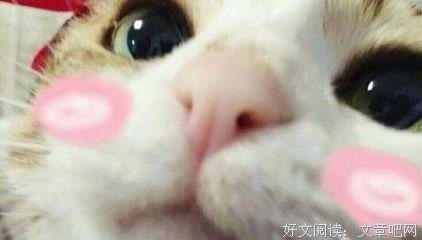 最全的茴笙的名言