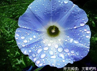 最全的落落名言大全