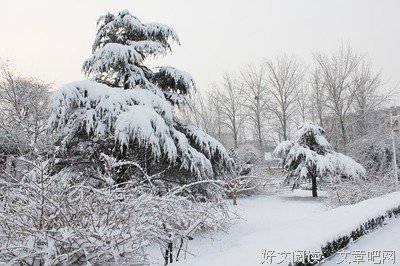 最新的《空间》好段摘抄大全