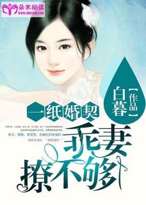 《纸婚》小说摘抄