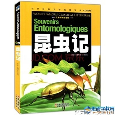 最经典的《贝壳》语录摘抄大全