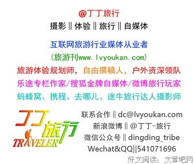 《带着Goldie去旅行》读后感10篇