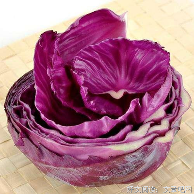 《写给大家看的PPT设计书》读后感精选10篇