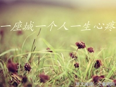 第一夜的蔷薇读后感10篇