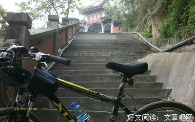《再见，薄雪草少年》读后感10篇