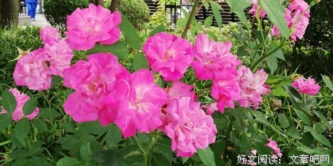 三十如狼，四十如猪，太现实了！