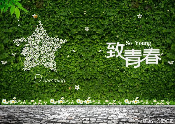 《青春》的句子
