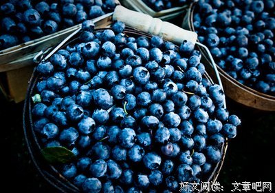 短句子采集