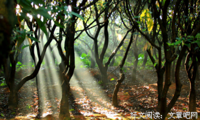 成长优美的句子