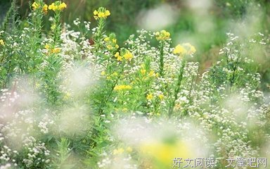 落的句子