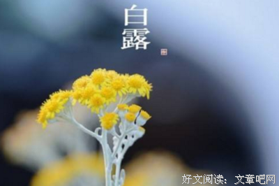 《已转》的句子