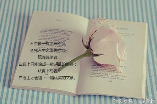 战七少经典的句子