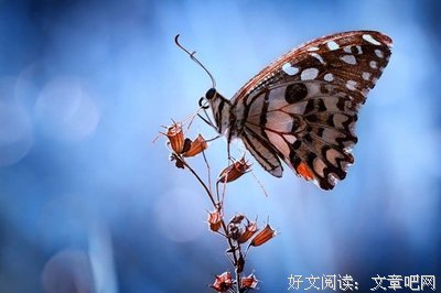关于感动的优美句子