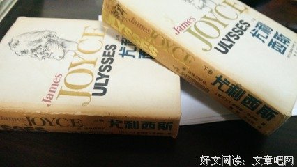 关于西斯的语句