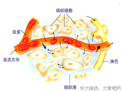 条件反射的语句摘抄_关于条件反射的语句