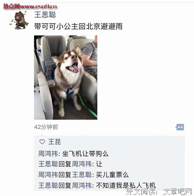 关于鸡零狗的名句摘抄