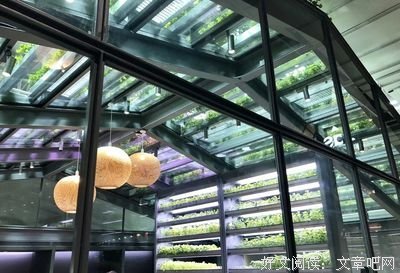 有关蔡澜名言