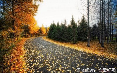 最新的《过客》语录摘抄