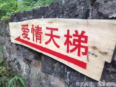 “垃圾爱情，不如单身”