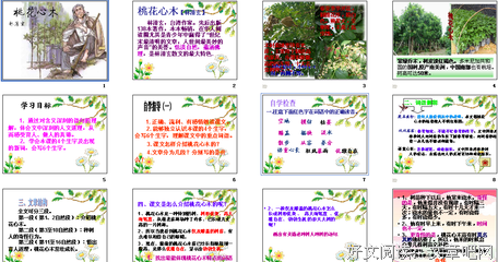 林清玄：桃花心木