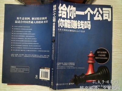 给你一个公司，你能赚钱吗读后感精选10篇