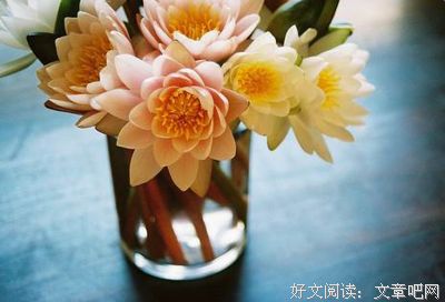 包法利夫人经典读后感10篇