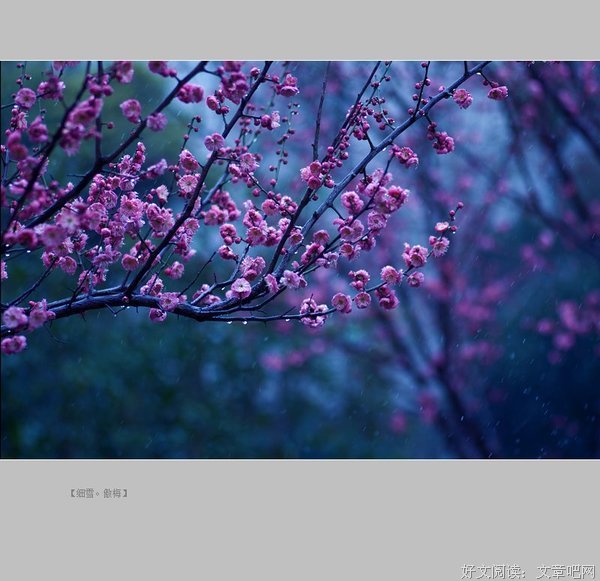 《细雪》读后感精选10篇