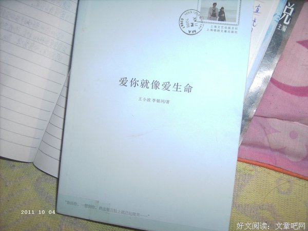 《爱你就像爱生命》读后感10篇