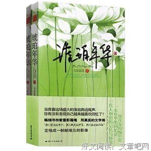 《琥珀年华（全二册）》读后感10篇