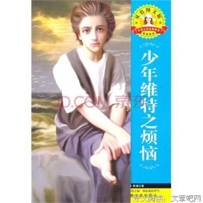 少年维特的烦恼读后感精选10篇