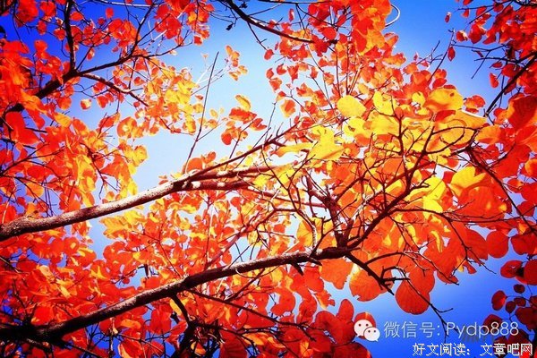 当你老了，会后悔什么?