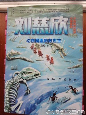 关于最对当，我们子只失妈小说界的选择原谅。的优美句子