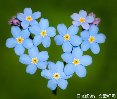 关于爱情佳句的句子